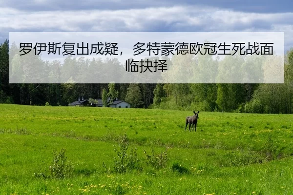 罗伊斯复出成疑，多特蒙德欧冠生死战面临抉择