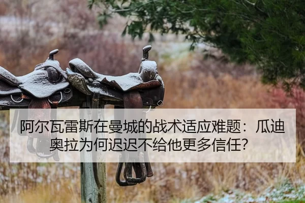 阿尔瓦雷斯在曼城的战术适应难题：瓜迪奥拉为何迟迟不给他更多信任？