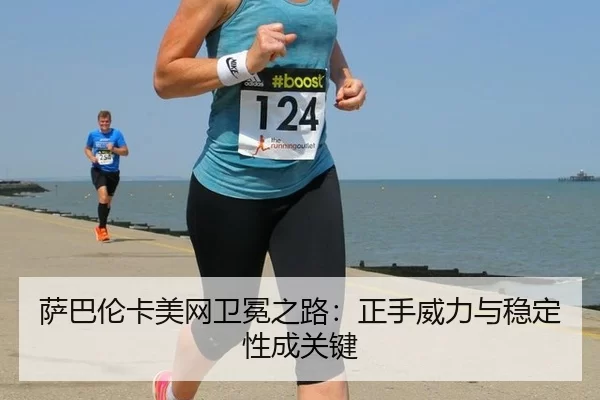 sa-ba-lun-ka-mei-wang-wei-mian-zhi-lu-zheng-shou-wei-li-yu-wen-ding-xing-cheng-guan-jian-2-378.jpg