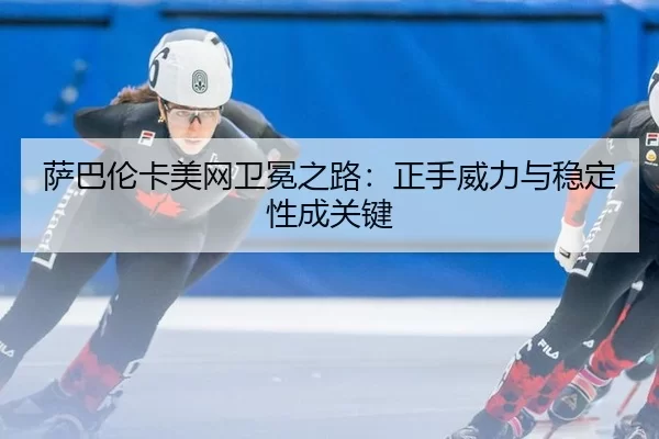 sa-ba-lun-ka-mei-wang-wei-mian-zhi-lu-zheng-shou-wei-li-yu-wen-ding-xing-cheng-guan-jian-3-474.jpg
