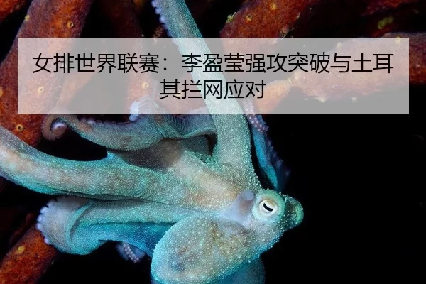 nv-pai-shi-jie-lian-sai-li-ying-ying-qiang-gong-tu-po-yu-tu-er-qi-lan-wang-ying-dui-2-218.jpg