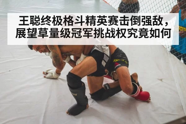 王聪终极格斗精英赛击倒强敌，展望草量级冠军挑战权究竟如何